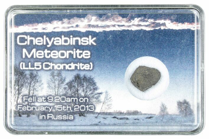 Oriented Chelyabinsk Meteorite ( g) - Witnessed Fall #284726